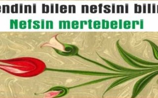 Nefsin Mertebeleri