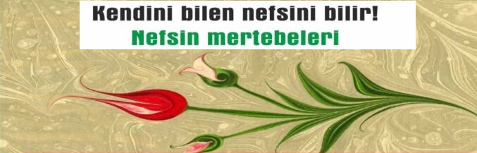 Nefsin Mertebeleri