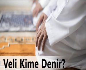 Veli ne demek